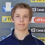 M. Aanesland