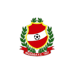 Home Team