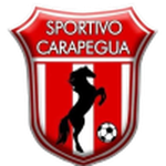 Home Team