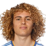 David de la Víbora