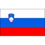 Home Team